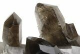 Wide, Free-Standing Smoky Quartz Cluster - Brazil #229589-2